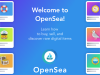 Apa itu NFT dan Bagaimana Cara Menjualnya di OpenSea?