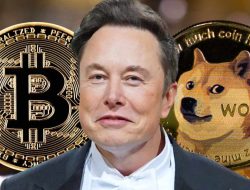 Rugikan Investor Dogecoin, Elon Musk Digugat Miliaran Dolar